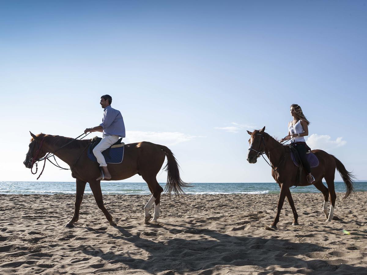 Aldemar Royal Olympian Hotel Szkafidiá Kültér fotó